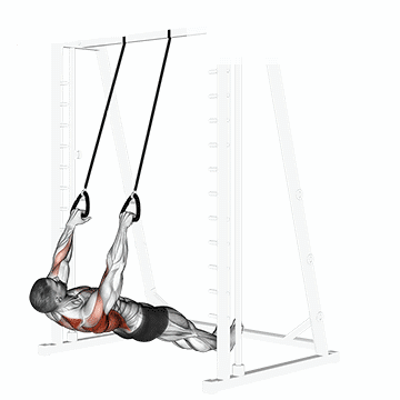 Remada Invertida no TRX